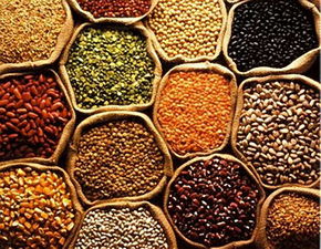 印度连续颁布进口限制令,引发缅甸豆类市场的 地震